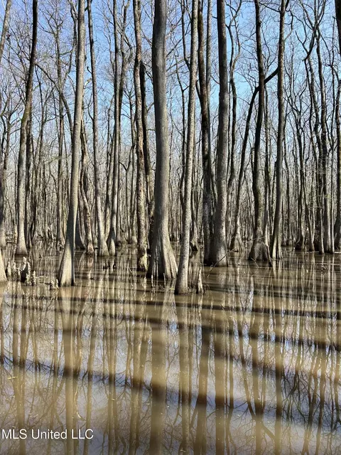 County Rd 176, Sidon, MS 38954 photo 51