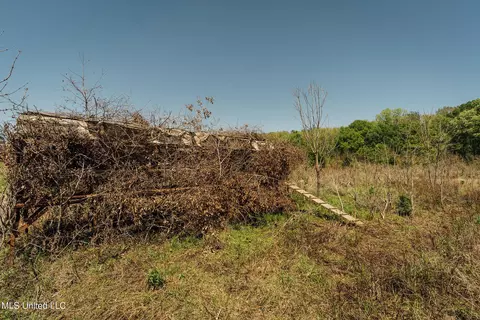 County Rd 176, Sidon, MS 38954 photo 27