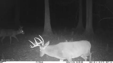 County Rd 176, Sidon, MS 38954 photo 49
