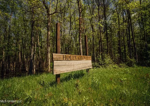 County Rd 176, Sidon, MS 38954 photo 40