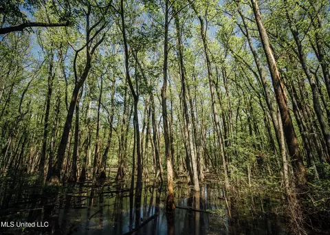 County Rd 176, Sidon, MS 38954 photo 18
