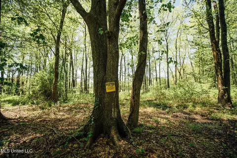 County Rd 176, Sidon, MS 38954 photo 26