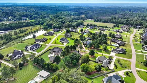 View/Area - 202 Esplanade Dr, Brandon, MS 39047 photo 14 of 20