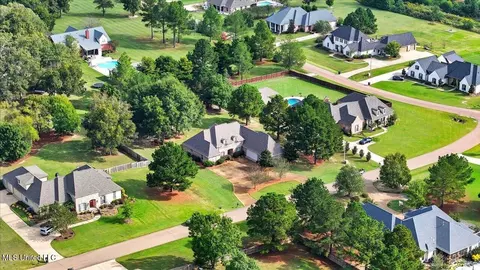 View/Area - 202 Esplanade Dr, Brandon, MS 39047 photo 12 of 20