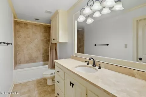 Bath - 202 Esplanade Dr, Brandon, MS 39047 photo 6 of 7