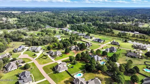 View/Area - 202 Esplanade Dr, Brandon, MS 39047 photo 11 of 20