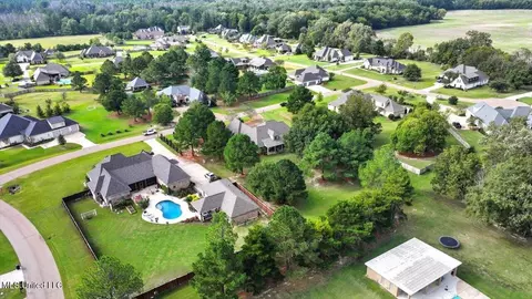View/Area - 202 Esplanade Dr, Brandon, MS 39047 photo 18 of 20