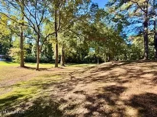 1029 Loom St, Wesson, MS 39191 photo 20
