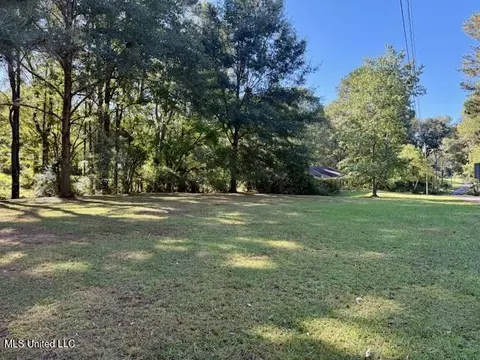 1029 Loom St, Wesson, MS 39191 photo 28