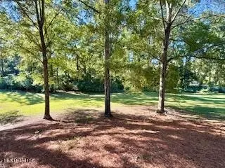 1029 Loom St, Wesson, MS 39191 photo 22