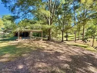 1029 Loom St, Wesson, MS 39191 photo 21