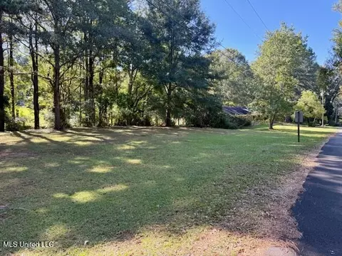 1029 Loom St, Wesson, MS 39191 photo 27
