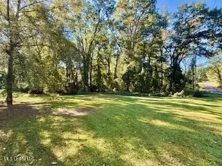 1029 Loom St, Wesson, MS 39191 photo 23