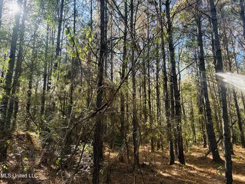 Old Avera Road, State Line, MS 39362 photo 9
