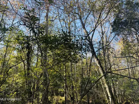 Old Avera Road, State Line, MS 39362 photo 3