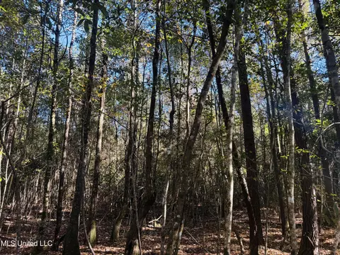 Old Avera Road, State Line, MS 39362 photo 4
