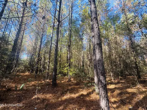 Old Avera Road, State Line, MS 39362 photo 2
