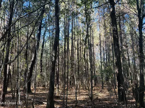 Old Avera Road, State Line, MS 39362 photo 7