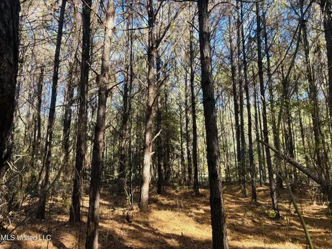 Old Avera Road, State Line, MS 39362 photo 8