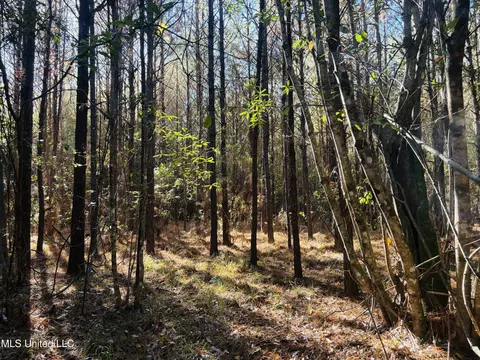 Old Avera Road, State Line, MS 39362 photo 5