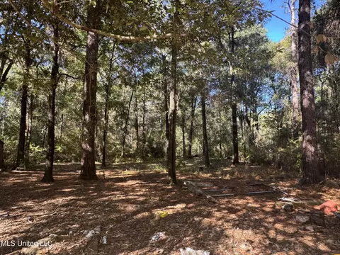 170 Oakhaven Dr, Lucedale, MS 39452 photo 6