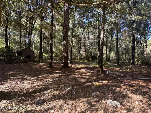 170 Oakhaven Dr, Lucedale, MS 39452 photo 7