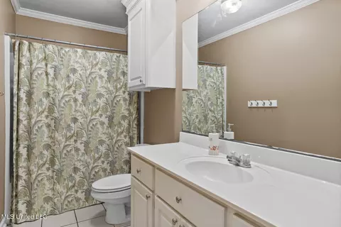 Bath - 3003 Stonehendge Dr, Brandon, MS 39042 photo 3 of 3