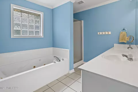 Bath - 3003 Stonehendge Dr, Brandon, MS 39042 photo 1 of 3