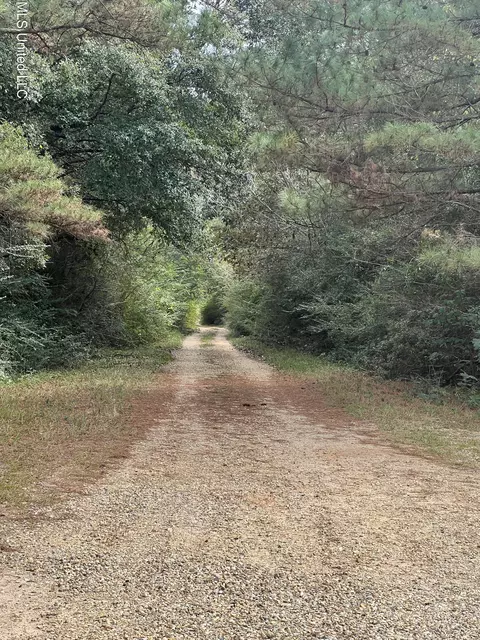 0 Wildwood Dr, Lumberton, MS 39455