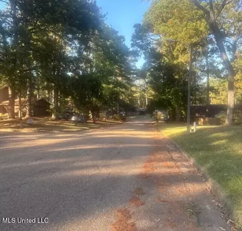 111 Blackmon Rd, Byram, MS 39272 photo 4