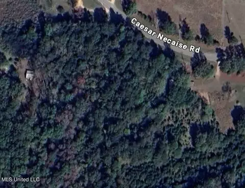 0 Caesar Necaise Rd, Perkinston, MS 39573