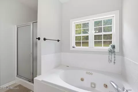Bath - 59 Napoleon Cir, Brandon, MS 39047 photo 3 of 5