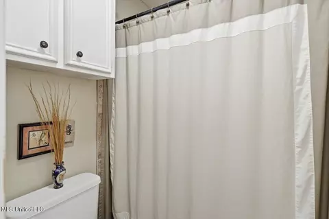 Bath - 43 Sunline Ct, Brandon, MS 39042 photo 2 of 3