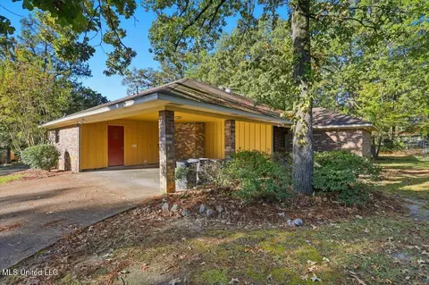 Exterior - 43 Sunline Ct, Brandon, MS 39042 photo 7 of 8