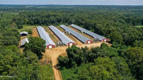 7749 Hickory Little Rock Rd, Decatur, MS 39327