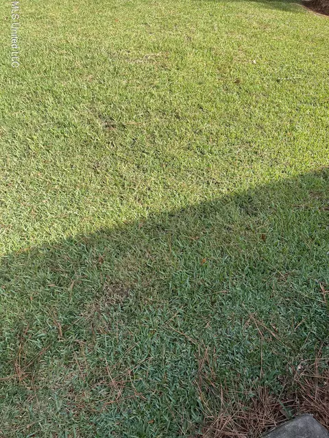 Weisenberger Road, Gluckstadt, MS 39110