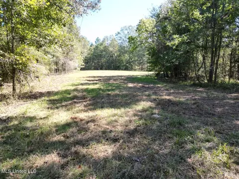 9200 Sawmill Rd, Pattison, MS 39144 photo 11