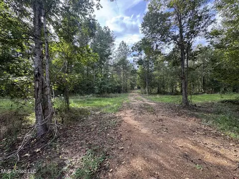 9200 Sawmill Rd, Pattison, MS 39144 photo 38