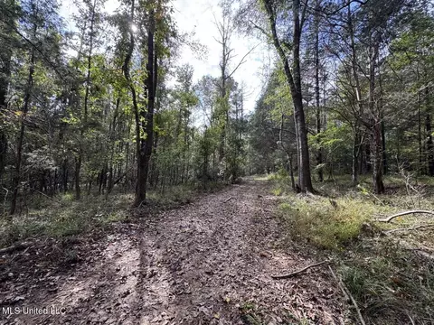 9200 Sawmill Rd, Pattison, MS 39144 photo 34