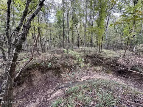 9200 Sawmill Rd, Pattison, MS 39144 photo 28