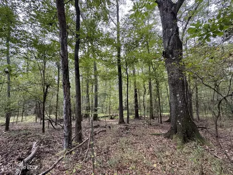 9200 Sawmill Rd, Pattison, MS 39144 photo 18