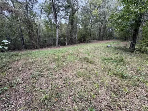 9200 Sawmill Rd, Pattison, MS 39144 photo 20