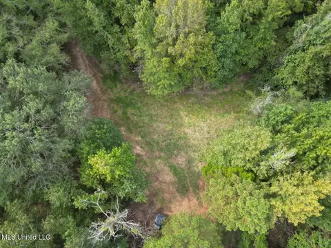 9200 Sawmill Rd, Pattison, MS 39144 photo 5