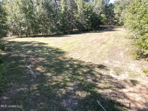 9200 Sawmill Rd, Pattison, MS 39144 photo 2