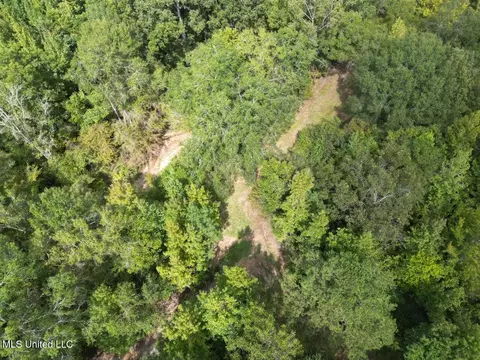 9200 Sawmill Rd, Pattison, MS 39144 photo 4