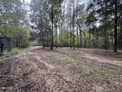 9200 Sawmill Rd, Pattison, MS 39144 photo 22