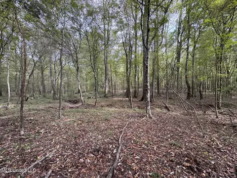 9200 Sawmill Rd, Pattison, MS 39144 photo 24