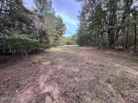 9200 Sawmill Rd, Pattison, MS 39144 photo 27