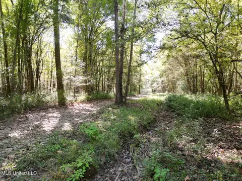 9200 Sawmill Rd, Pattison, MS 39144 photo 12