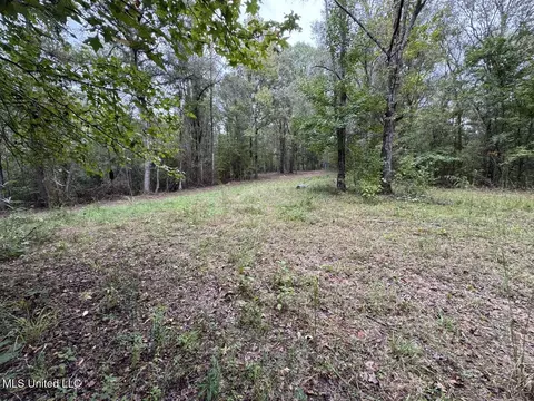 9200 Sawmill Rd, Pattison, MS 39144 photo 21